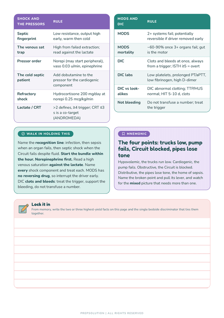 Sample page. The sepsis cheat sheet, the whole cascade condensed onto the page that closes the chapter