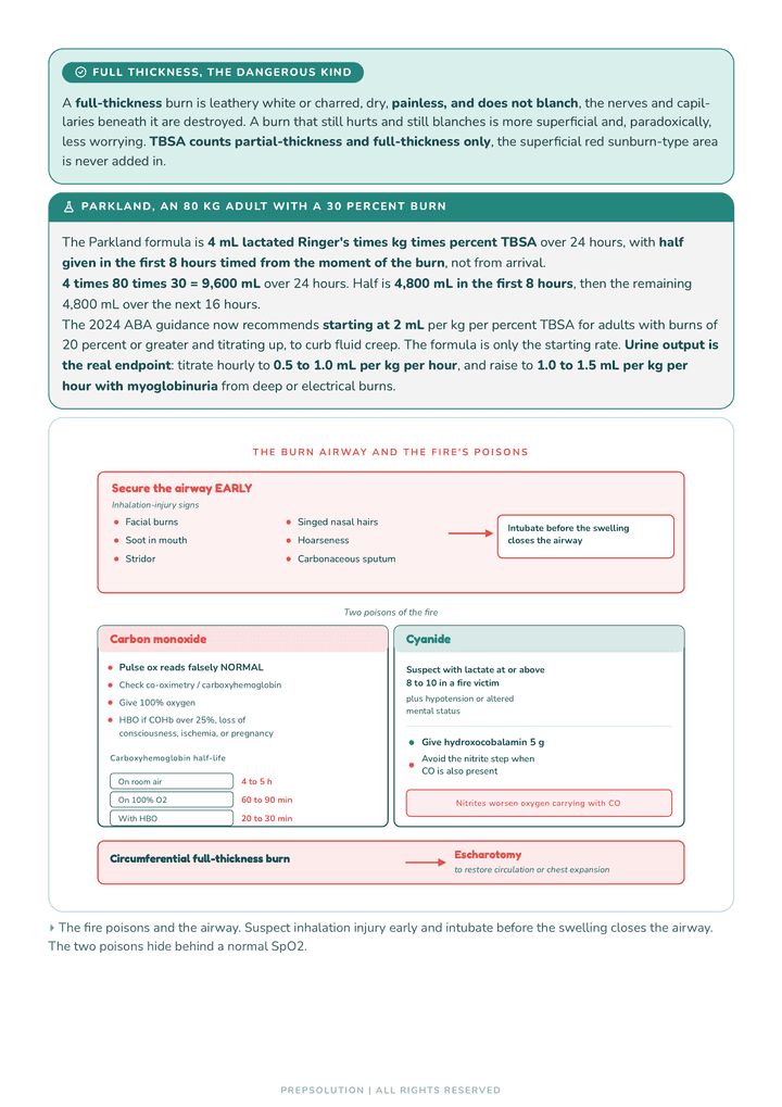 Worked-example page from Chapter 14. The Parkland formula worked to the milliliter, step by step