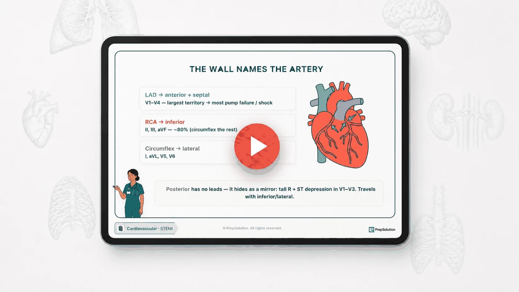 CCRN Explained on a tablet — an animated lesson on how the ECG wall names the coronary artery, with the play button centered